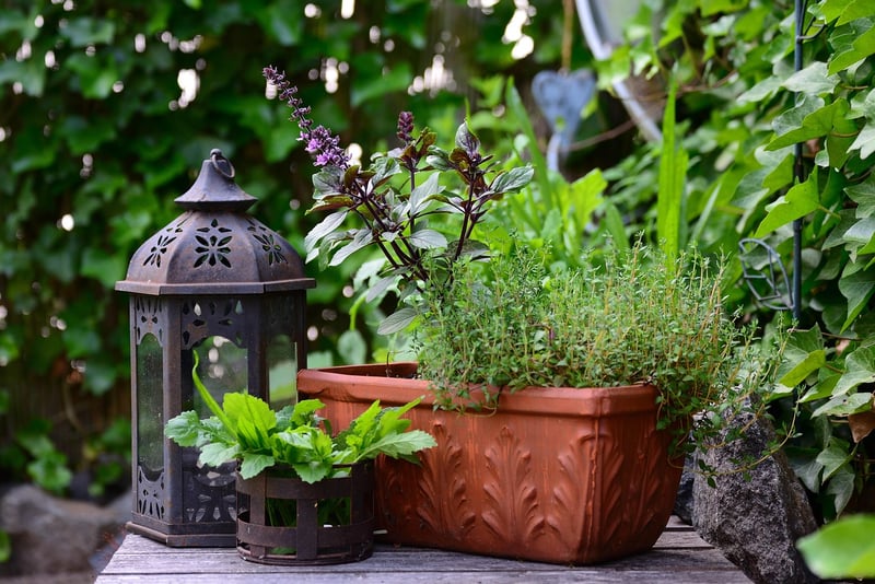 Balcony Herb Planters