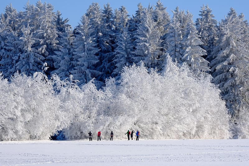 Winter gardening
